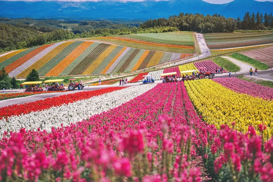 5%EC%9B%94SEO.%EC%82%BF%ED%8F%AC%EB%A1%9C%EC%97%AC%EB%A6%8417.jpg?type=w1200