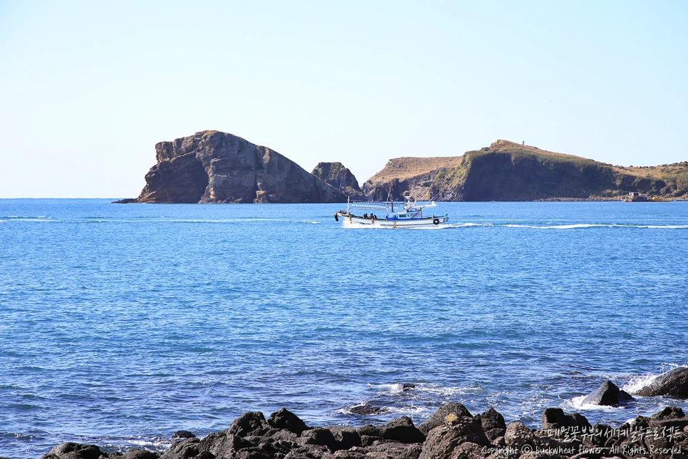 6.%EC%B0%A8%EA%B7%80%EB%8F%84.png?type=w1200