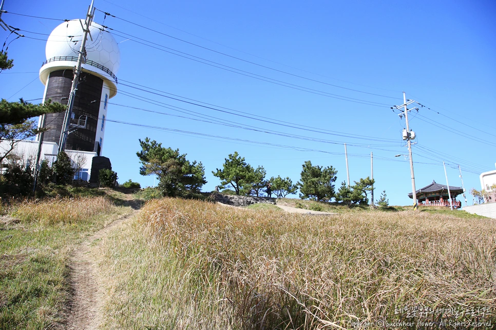 1.%EC%88%98%EC%9B%94%EB%B4%89%28%EA%B8%B0%EC%83%81%EA%B4%80%EC%B8%A1%EC%86%8C%29.png?type=w1200