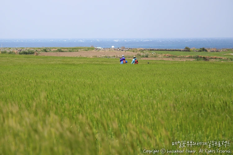 %EA%B0%80%ED%8C%8C%EB%8F%84%EC%B2%AD%EB%B3%B4%EB%A6%AC_02.png?type=w1200