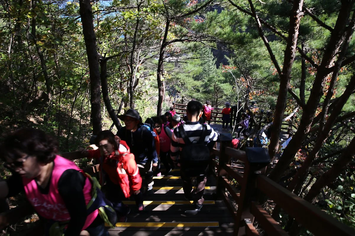 IMG_6864.JPG?type=w1200