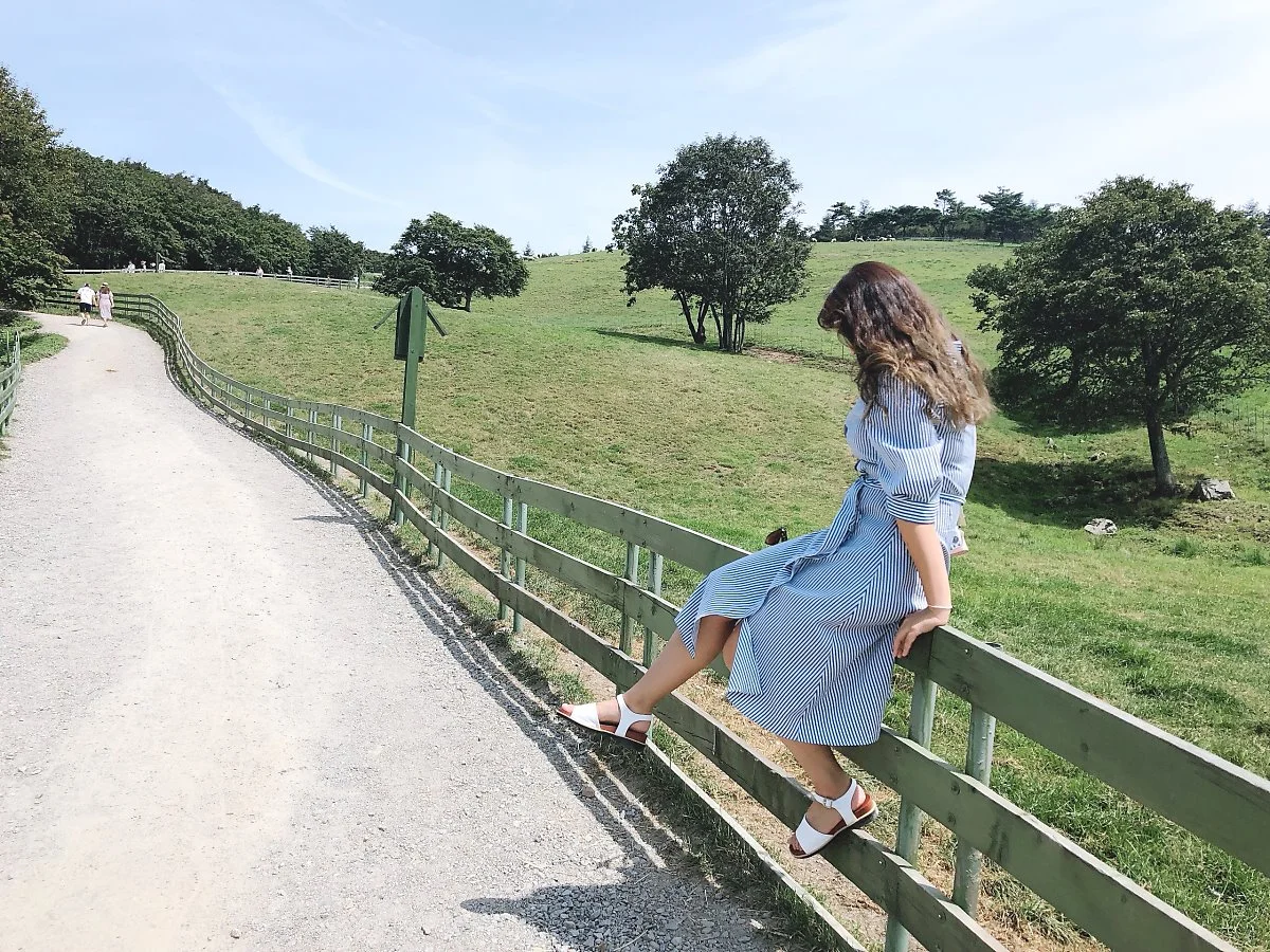 IMG_5952.JPG?type=w1200