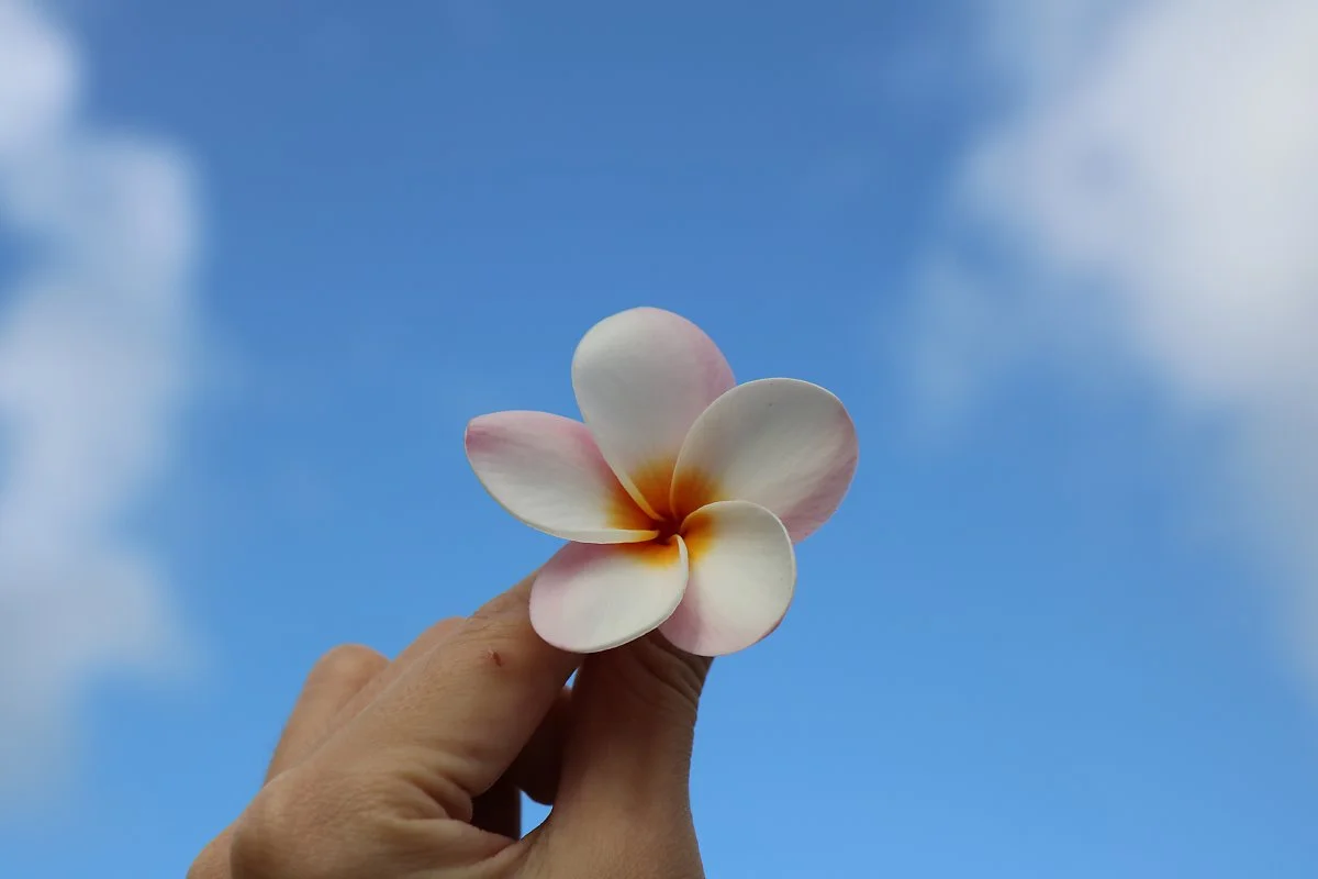 %EC%82%AC%EC%9D%B4%ED%8C%90%EC%9E%90%EC%9C%A0%EC%97%AC%ED%96%891.JPG?type=w1200