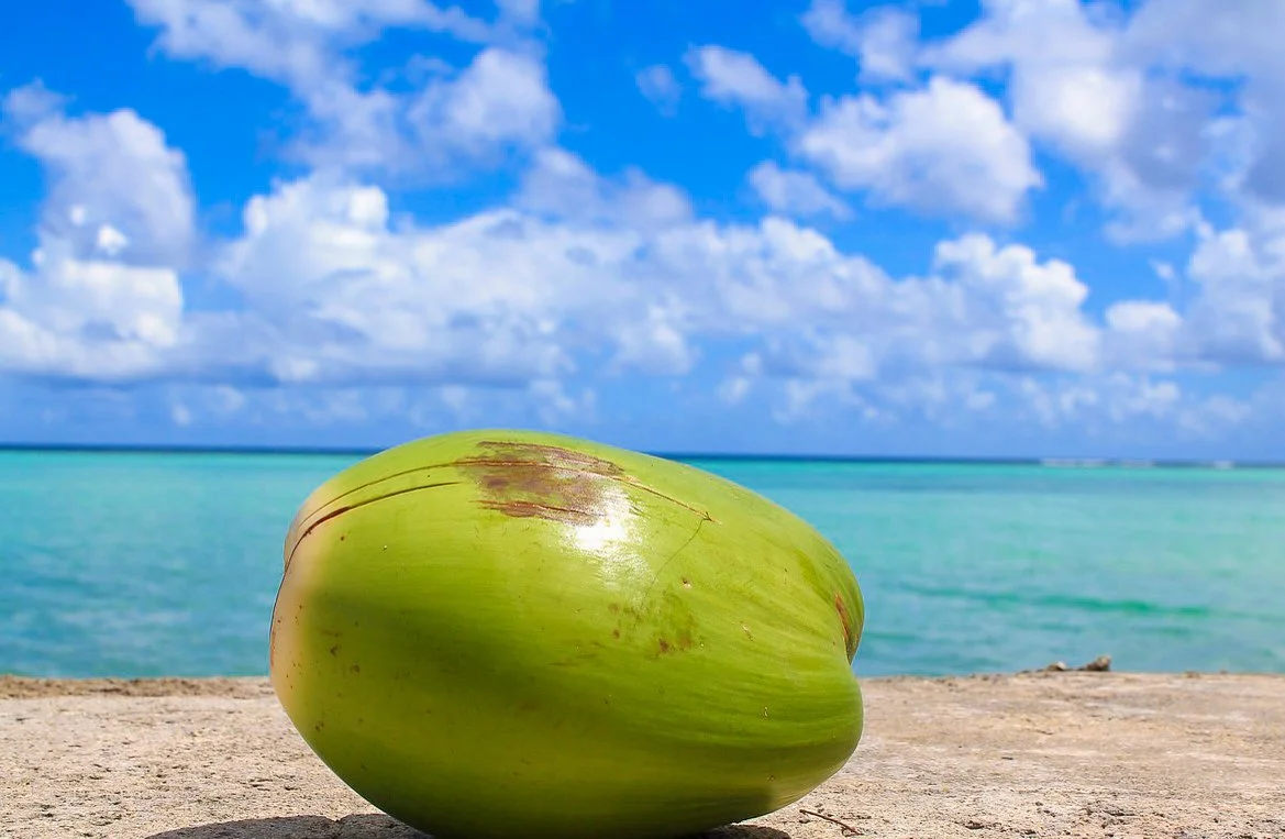 3_%EC%BD%94%EC%BD%94%EB%84%9B%EC%98%A4%EC%9D%BC_%282%29.jpg?type=w1200