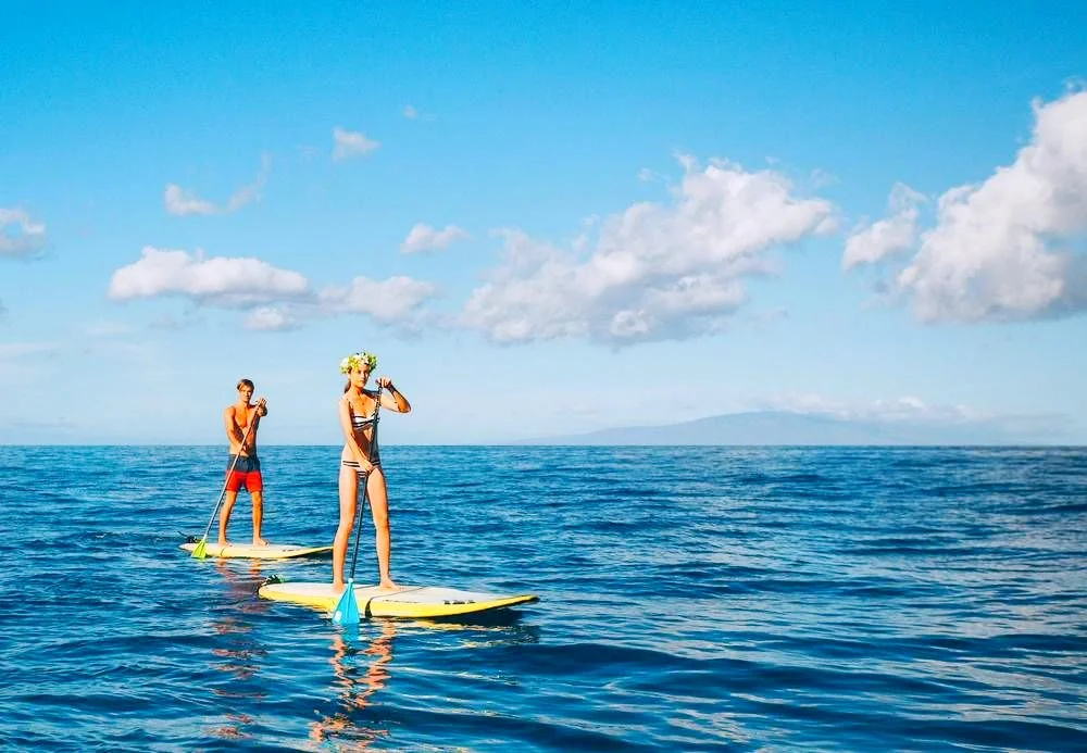 image_7342400251496216448186.jpg?type=w1200