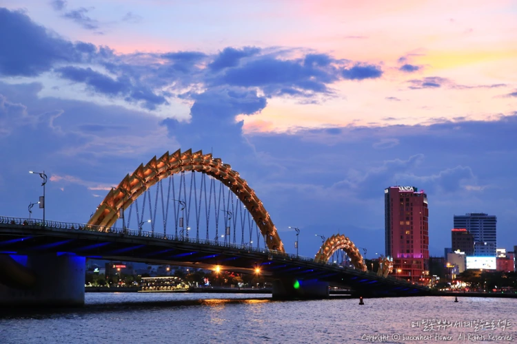 13._%EC%9A%A9%EB%8B%A4%EB%A6%AC.png?type=w1200