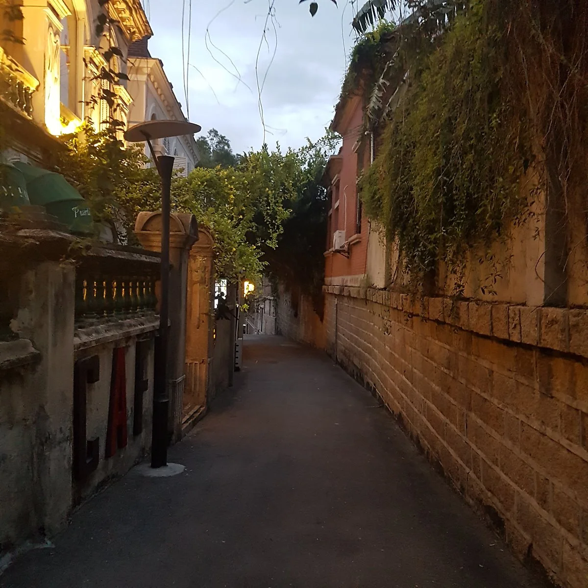 20180910_182159.jpg?type=w1200