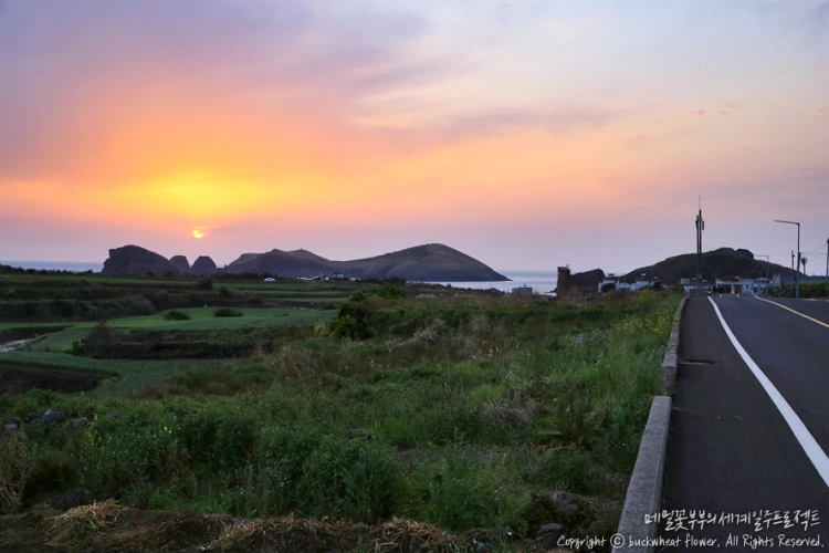 %EC%B0%A8%EA%B7%80%EB%8F%84%EC%9D%BC%EB%AA%B0_02.png?type=w1200