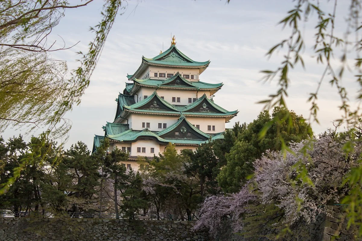 %EB%82%98%EA%B3%A0%EC%95%BC%EC%84%B1.jpg?type=w1200