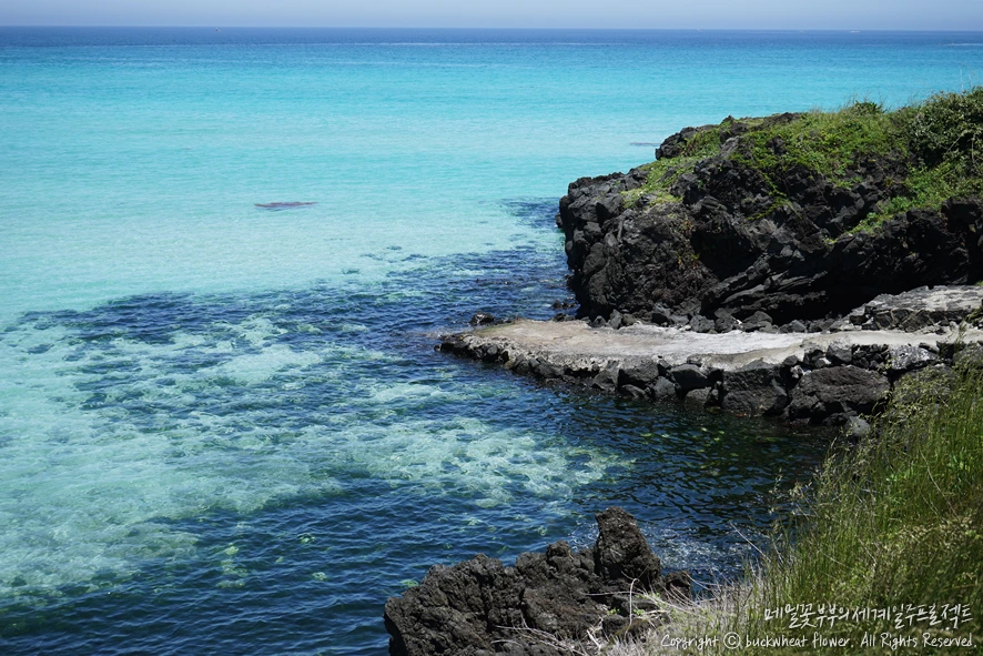 2.%ED%95%A8%EB%8D%95%ED%95%B4%EC%88%98%EC%9A%95%EC%9E%A5.png?type=w1200