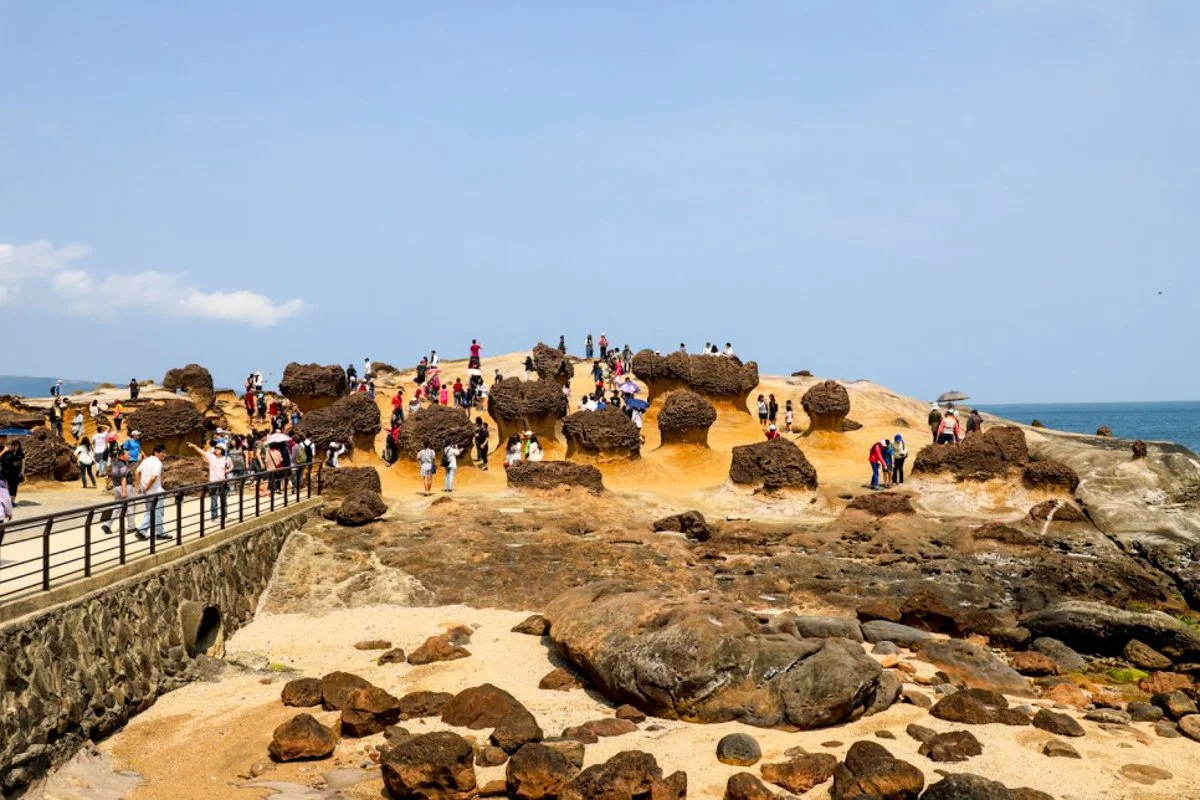 03.jpg?type=w1200&type=w1200