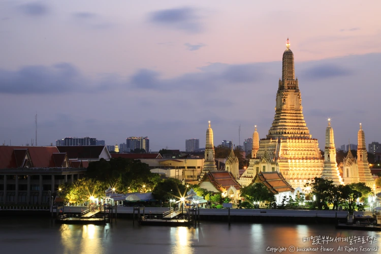 %EC%99%93%EC%95%84%EB%A3%AC03.png?type=w1200