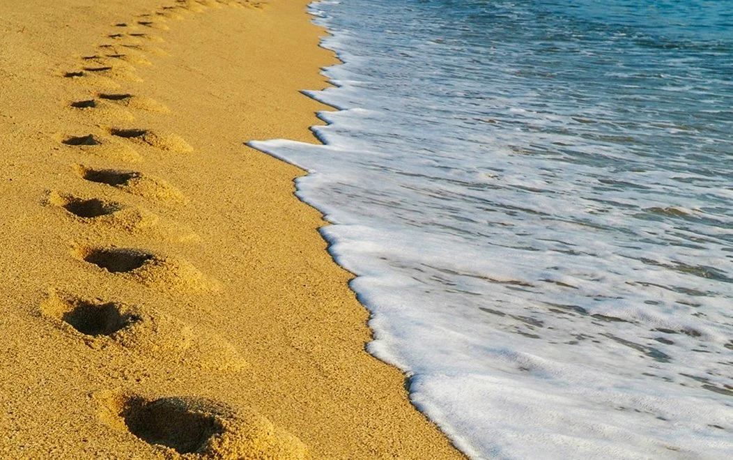 %EA%B0%95%EB%A6%89_%282%29.jpg?type=w1200