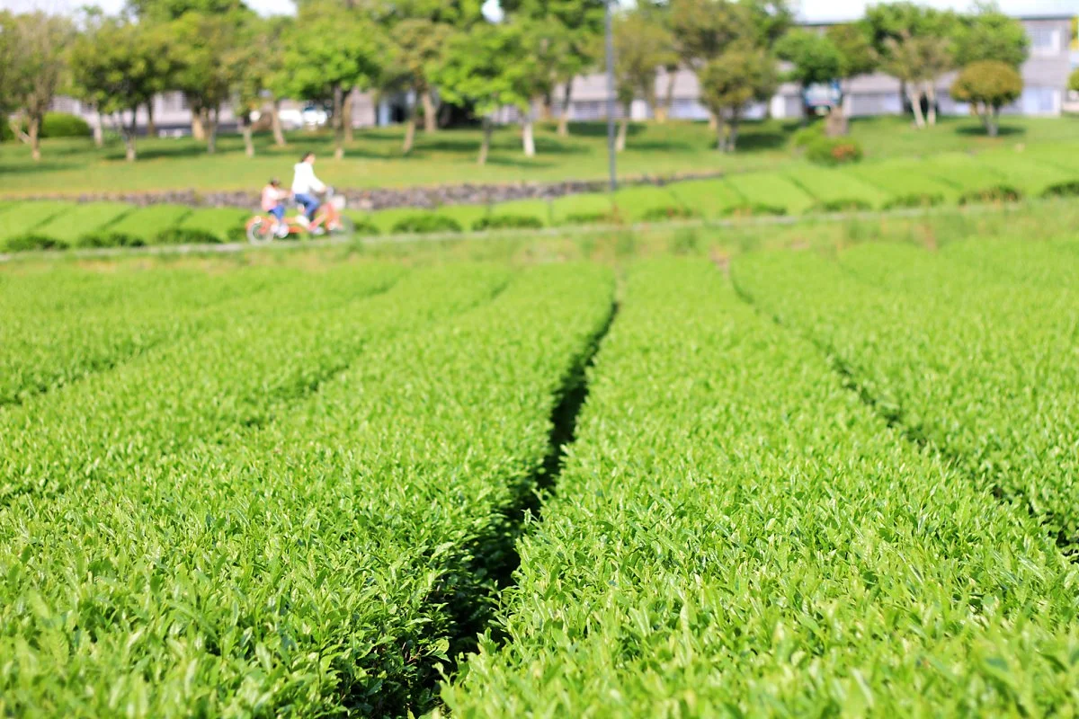 25_%EC%98%A4%EC%84%A4%EB%A1%9D.JPG?type=w1200