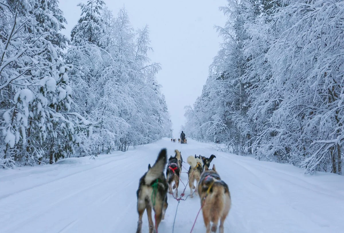 4_%ED%95%80%EB%9E%80%EB%93%9C_%EB%9D%BC%ED%94%8C%EB%9E%80%EB%93%9C_%284%29.jpg?type=w1200