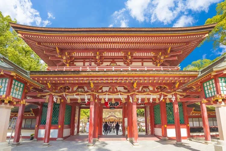 2%ED%9B%84%EC%BF%A0%EC%98%A4%EC%B9%B4.jpg?type=w1200