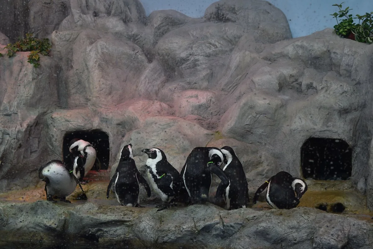 %EC%97%AC%EC%88%98%EC%97%AC%ED%96%89%EC%BD%94%EC%8A%A44.JPG?type=w1200