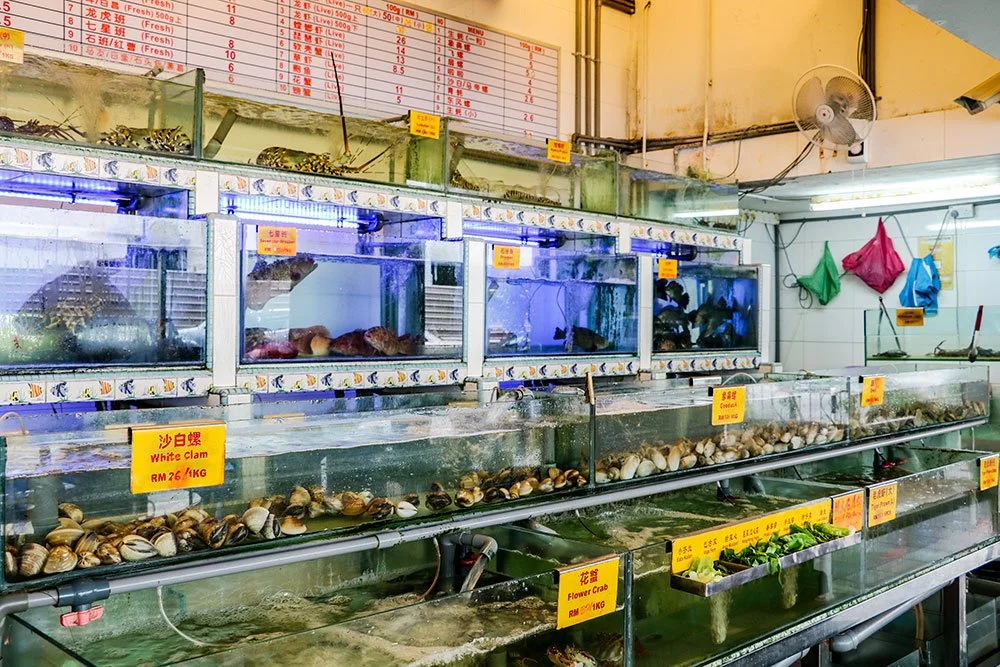 %EC%BD%94%ED%83%80%ED%82%A4%EB%82%98%EB%B0%9C%EB%A3%A8%EB%A7%9B%EC%A7%91_001.jpg?type=w1200