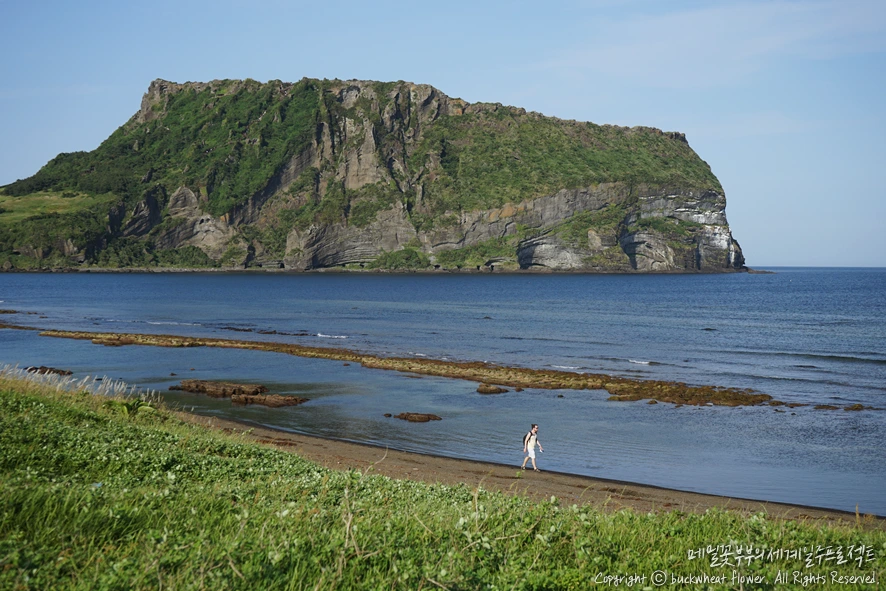 4.%EA%B4%91%EC%B9%98%EA%B8%B0%ED%95%B4%EB%B3%80.png?type=w1200