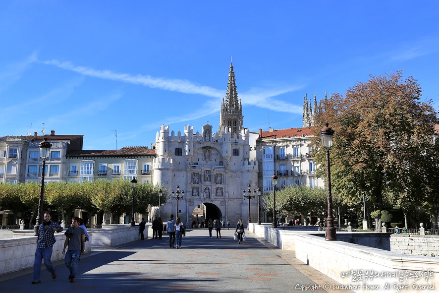 %EB%B6%80%EB%A5%B4%EA%B3%A0%EC%8A%A4%ED%92%8D%EA%B2%BD.png?type=w1200