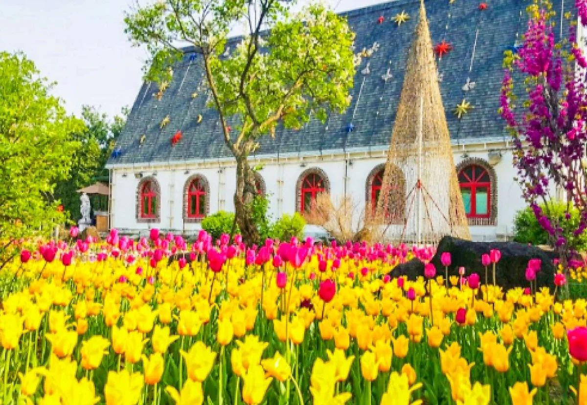 %ED%8C%8C%EC%A3%BC_%281%29.jpg?type=w1200