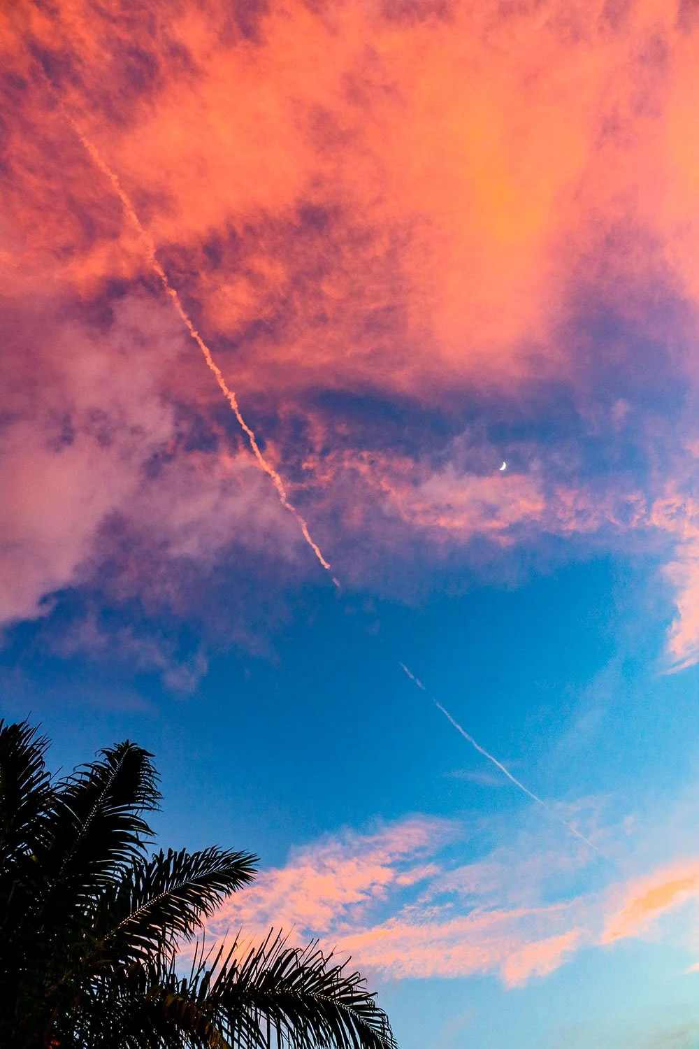 %EC%BD%94%ED%83%80%ED%82%A4%EB%82%98%EB%B0%9C%EB%A3%A8%EB%A7%9B%EC%A7%91_010.jpg?type=w1200