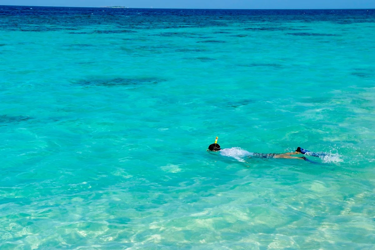 1_DSF6197.jpg?type=w1200