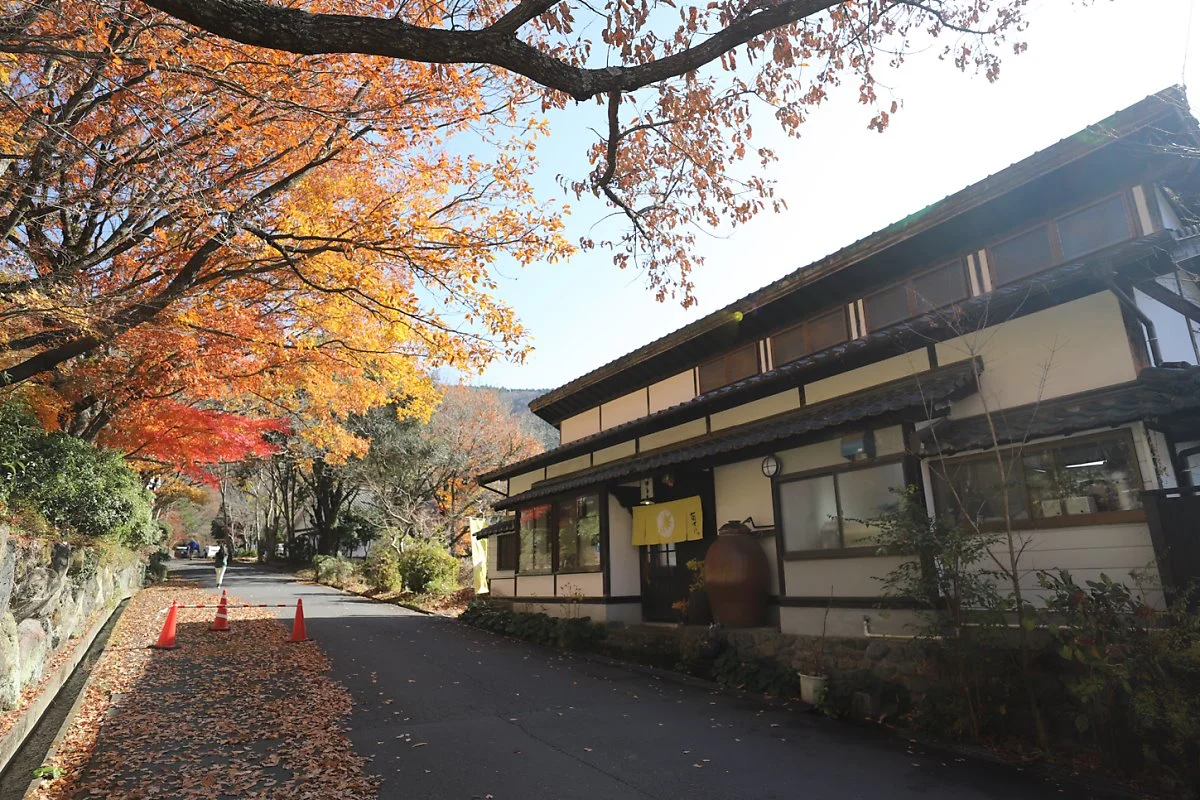 20181129-IMG_8156.jpg?type=w1200