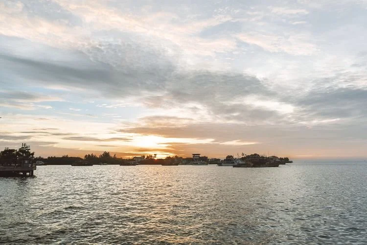 batch_26.jpg?type=w1200