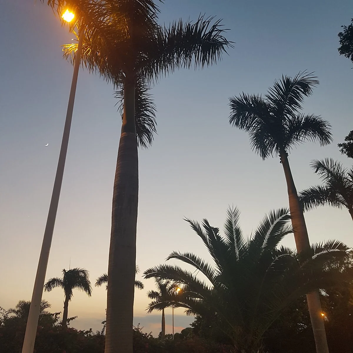 20180913_182747.jpg?type=w1200