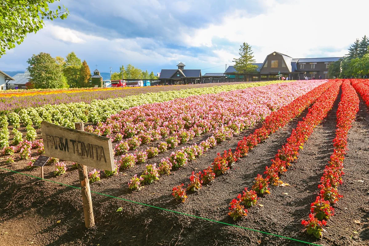 10_%EA%B0%80%EC%9D%84_%281%29.jpg?type=w1200