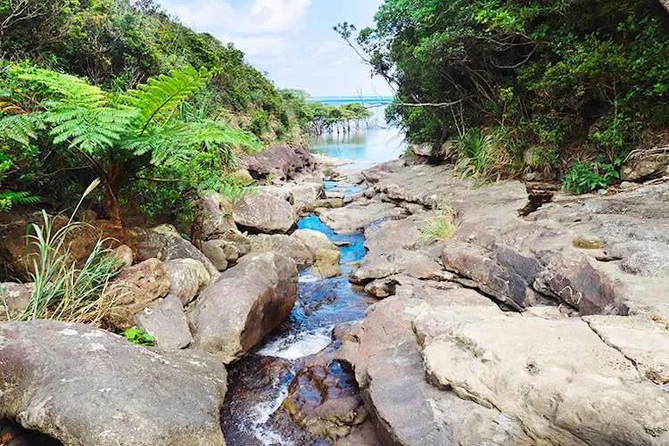 1-%EC%9D%B4%EB%A6%AC%EC%98%A4%EB%AA%A8%ED%85%8C.jpg?type=w1200