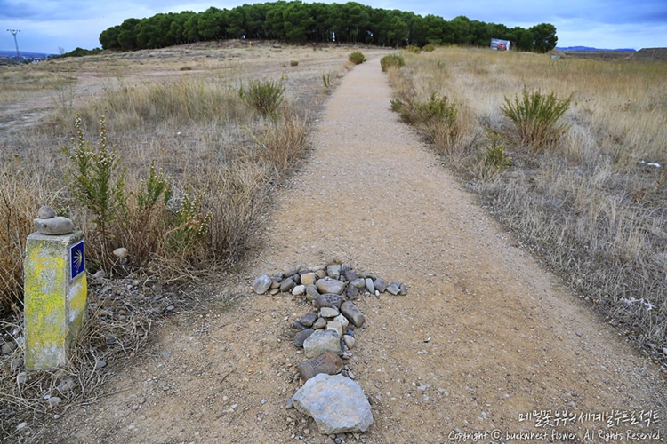 %EC%82%B0%ED%8B%B0%EC%95%84%EA%B3%A0%EC%88%9C%EB%A1%80%EA%B8%B8_%ED%99%94%EC%82%B4%ED%91%9C.png?type=w1200