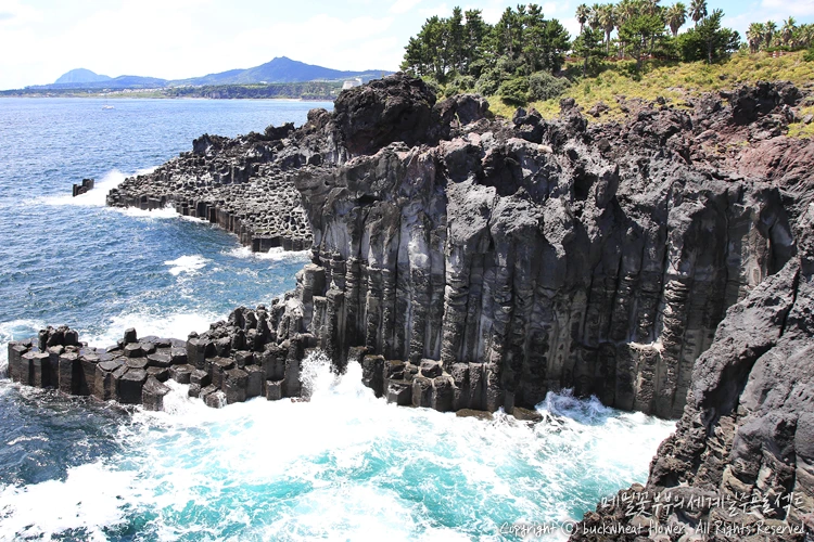 %EB%8C%80%ED%8F%AC%EC%A3%BC%EC%83%81%EC%A0%88%EB%A6%AC_03.png?type=w1200