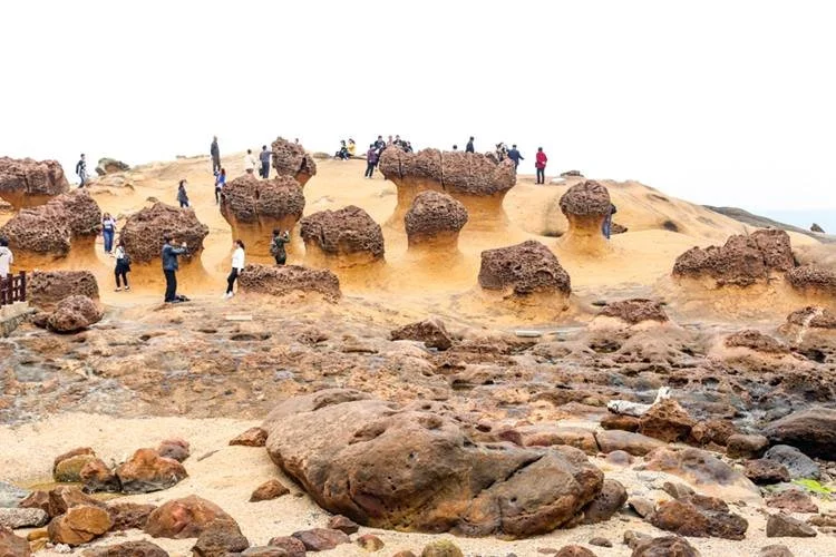 %EB%8C%80%EB%A7%8C%EC%97%AC%ED%96%896.jpg?type=w1200