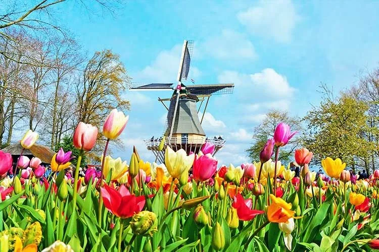 4_%ED%81%90%EC%BC%84%ED%98%B8%ED%94%84_preview.jpeg?type=w1200