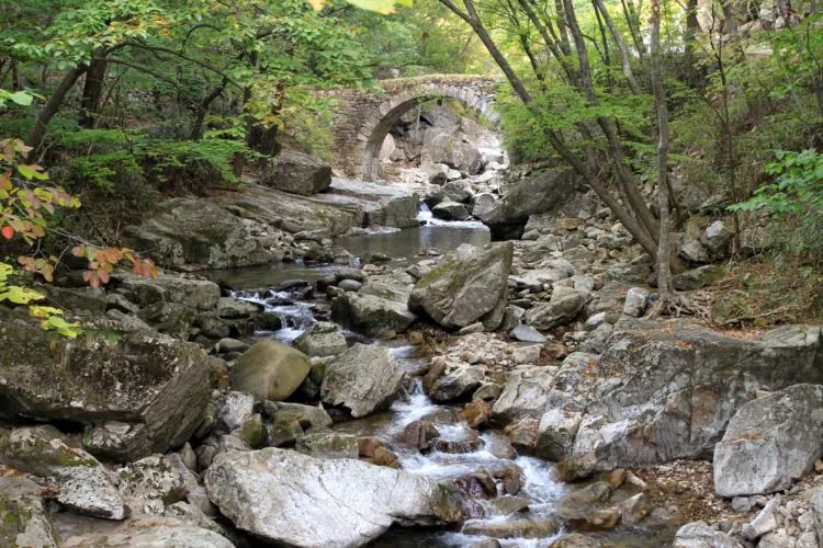 019-선암사 (1)resize.JPG