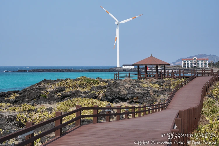 %EC%9B%94%EB%A0%B9%EB%A6%AC%EC%84%A0%EC%9D%B8%EC%9E%A5%EB%A7%88%EC%9D%84_01.png?type=w1200