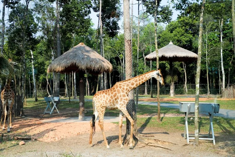 %ED%91%B8%EA%BE%B8%EC%98%A5_%285%29.jpg?type=w1200