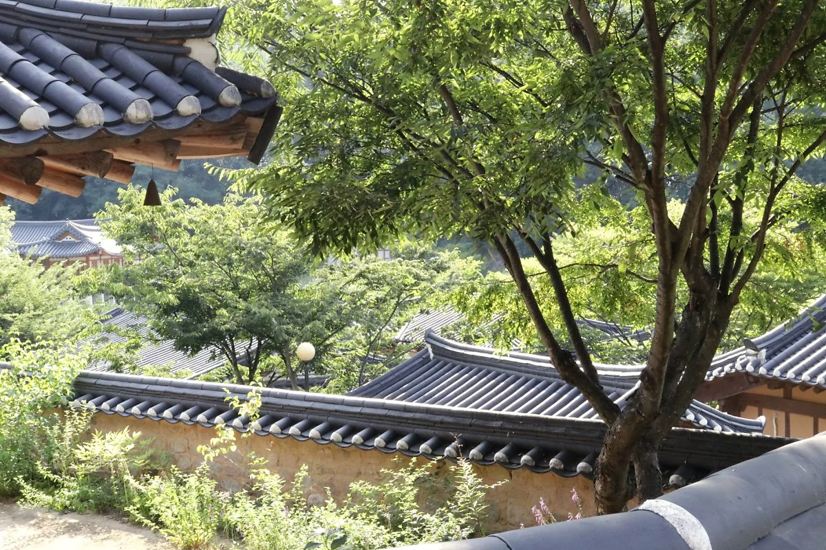 image_5139274792878969.jpg?type=w1200