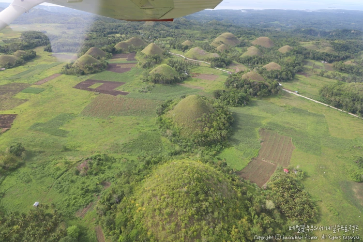 05._%EA%B2%BD%EB%B9%84%ED%96%89%EA%B8%B0%ED%88%AC%EC%96%B4.png?type=w1200