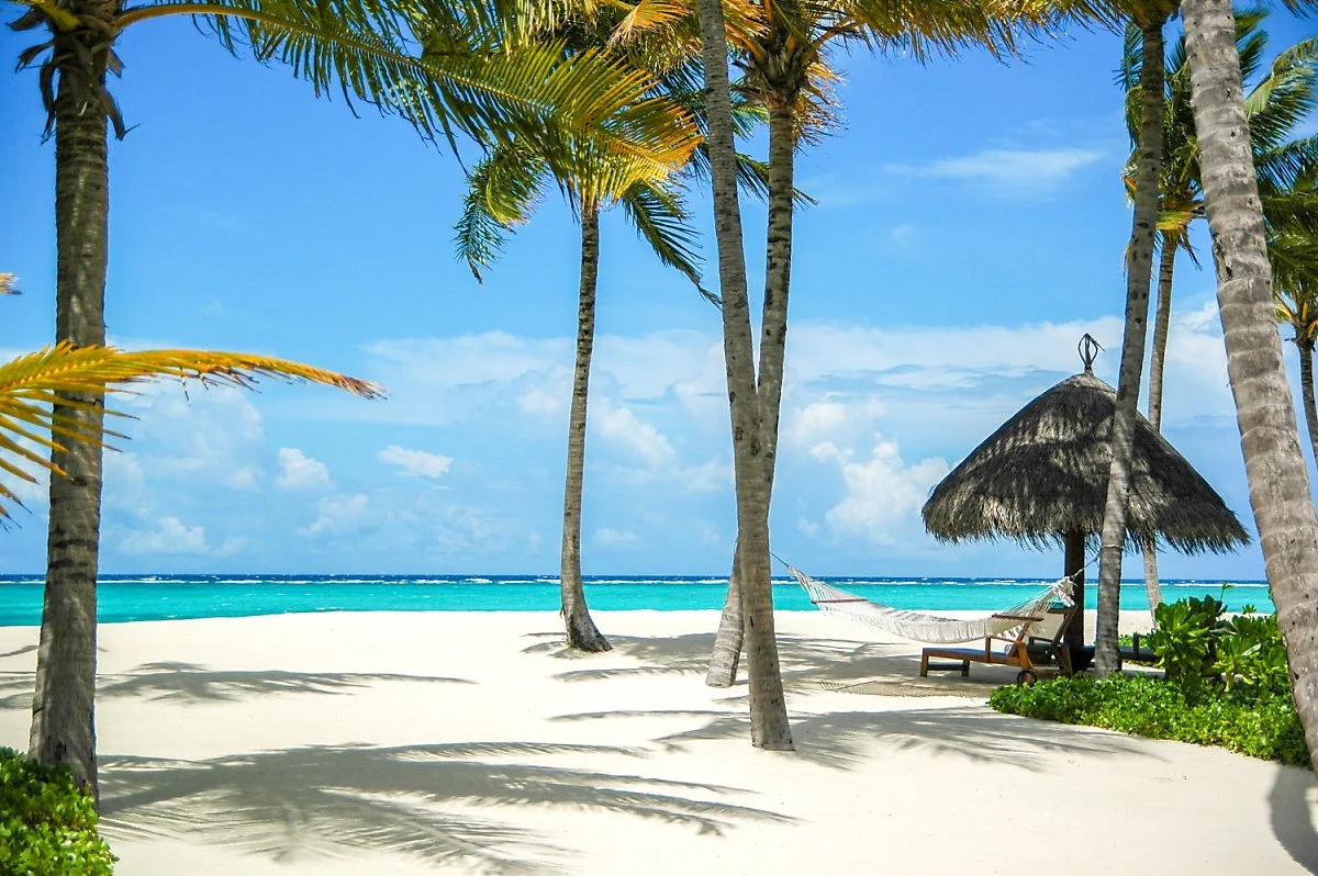 1DSC_3021.jpg?type=w1200