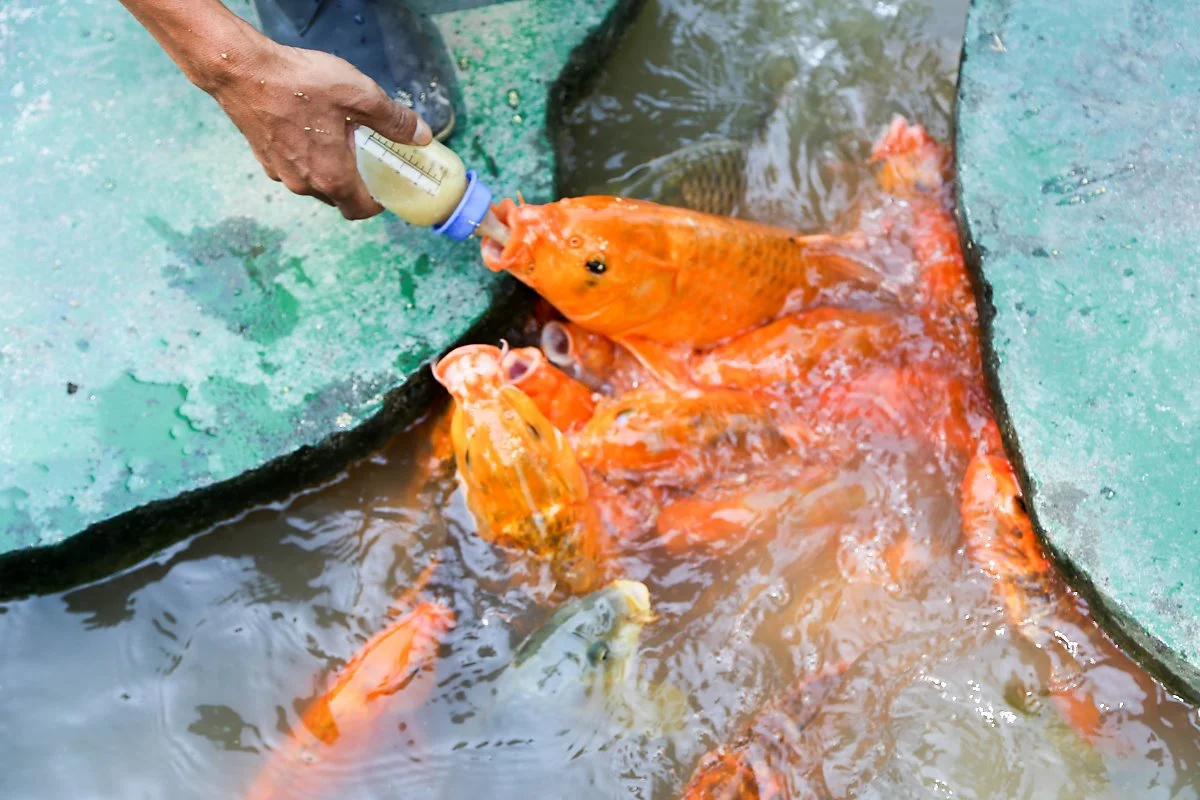 11_%EC%96%91%EB%B2%A0%EC%9D%B4_%ED%88%AC%EC%96%B4.jpg?type=w1200