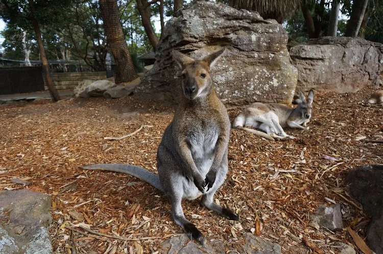 batch_%ED%98%BC%EC%9E%90_%EA%B0%80%EA%B8%B0_%EC%A2%8B%EC%9D%80_%EC%97%AC%ED%96%89%EC%A7%805_%EC%8B%9C%EB%93%9C%EB%8B%883.JPG?type=w1200