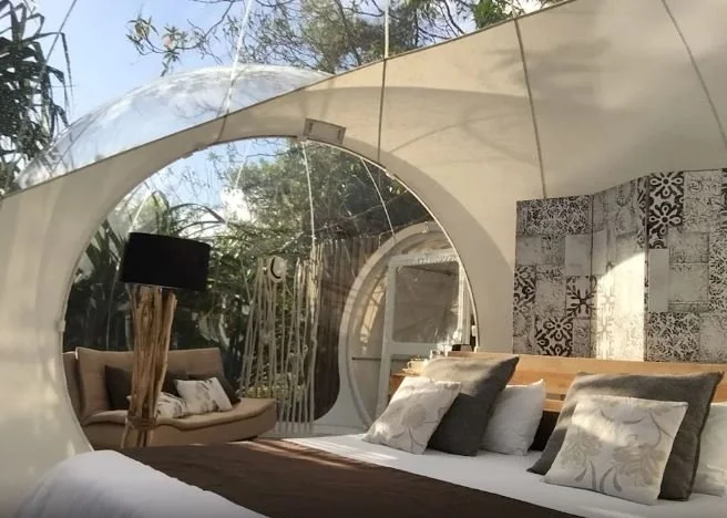 image_6322640336543668.jpg?type=w1200