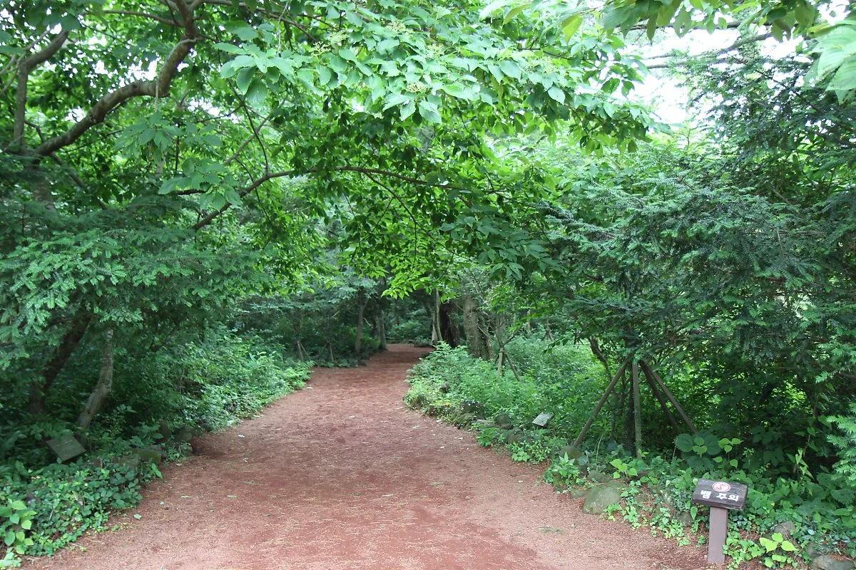 6%EC%9B%94_%EA%B5%AD%EB%82%B4%EC%97%AC%ED%96%89%EC%A7%80%EC%B6%94%EC%B2%9C5_%EC%A0%9C%EC%A3%BC%EB%8F%845.JPG?type=w1200