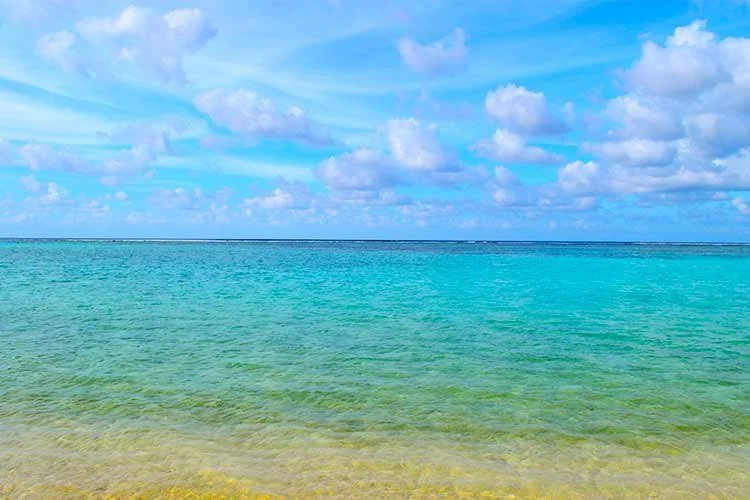 5-%EA%B4%8C.jpg?type=w1200