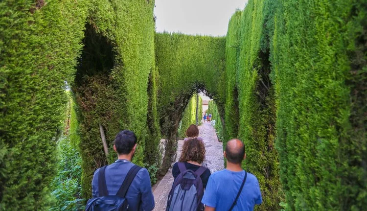 image_8838306281547431559909.jpg?type=w1200