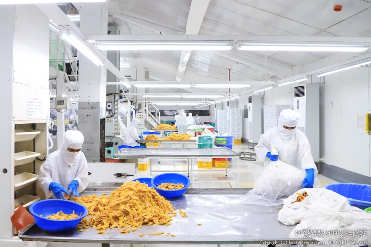 03._7d%EB%A7%9D%EA%B3%A0%EA%B3%B5%EC%9E%A5.png?type=w1200