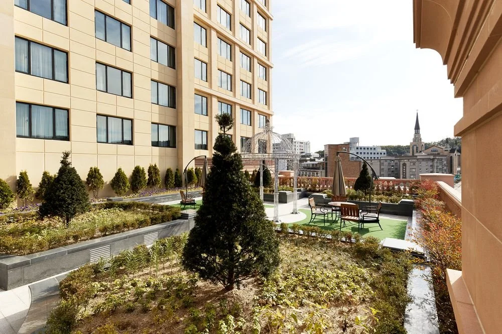 %EB%9D%BC%EB%A7%88%EB%8B%A4_%EC%9A%A9%EC%9D%B8_%ED%98%B8%ED%85%945.jpg?type=w1200